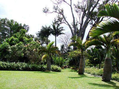 Sunnyside Garden